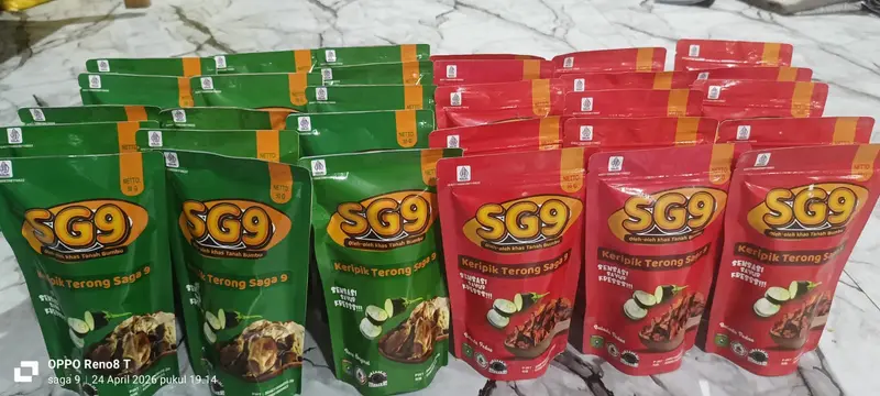 Keripik Terong